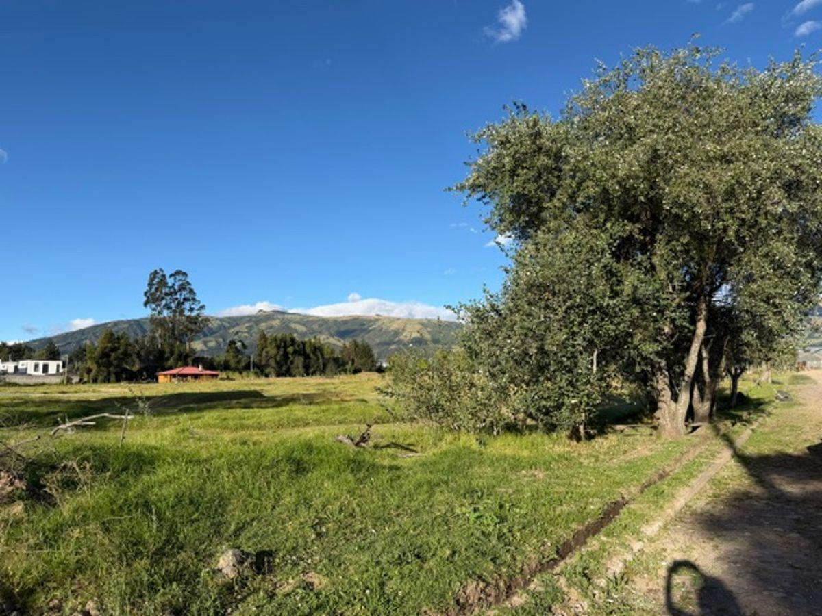 Excelente Terreno Plano en Pifo Conjunto Cerrado Excelente Vista — imagen 3