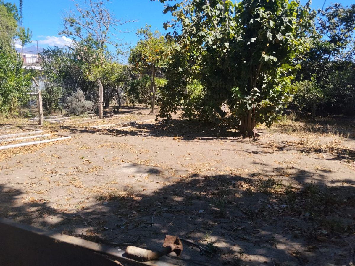 Tumbaco, Buena Esperanza, Sect. Hilacril, Vendo Terreno Plano 1000 m², Irm. Cos. Pb. 35%, Cos T 105% — imagen 10