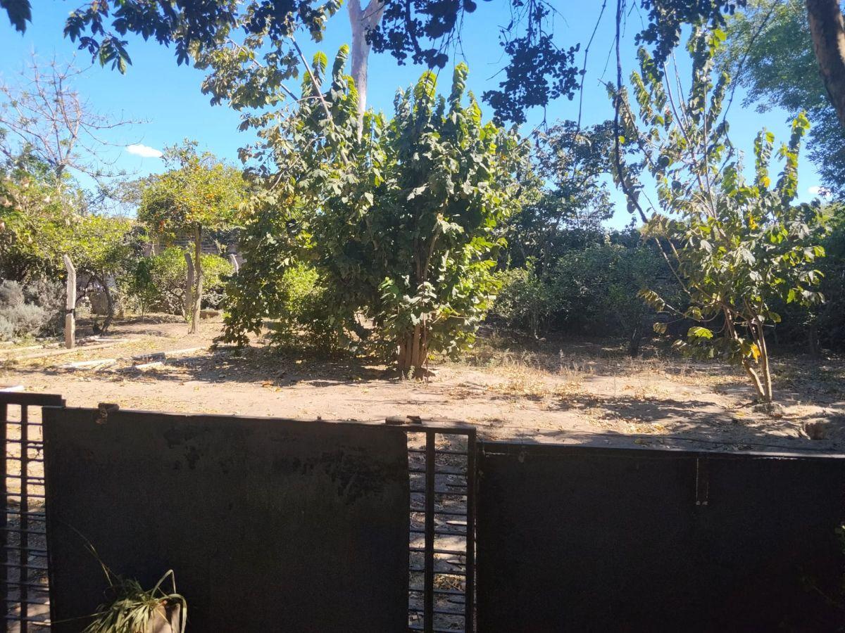 Tumbaco, Buena Esperanza, Sect. Hilacril, Vendo Terreno Plano 1000 m², Irm. Cos. Pb. 35%, Cos T 105% — imagen 9