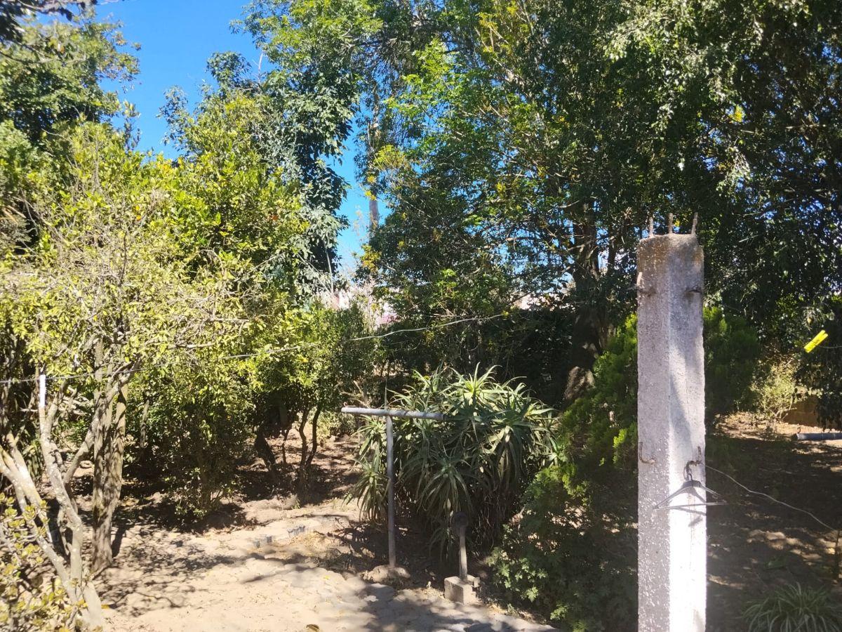 Tumbaco, Buena Esperanza, Sect. Hilacril, Vendo Terreno Plano 1000 m², Irm. Cos. Pb. 35%, Cos T 105% — imagen 5