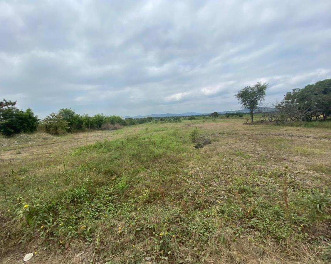 Vía a Daule Km²9 Vendo Terreno Industrial de 50.000 m², Guayas — imagen 3