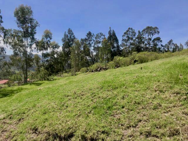 Ideal Para Proyectos Inmobiliarios, Sitio en Venta 4.150 m² Sector Chuquipata (Unae) Vía Azogues — imagen 7