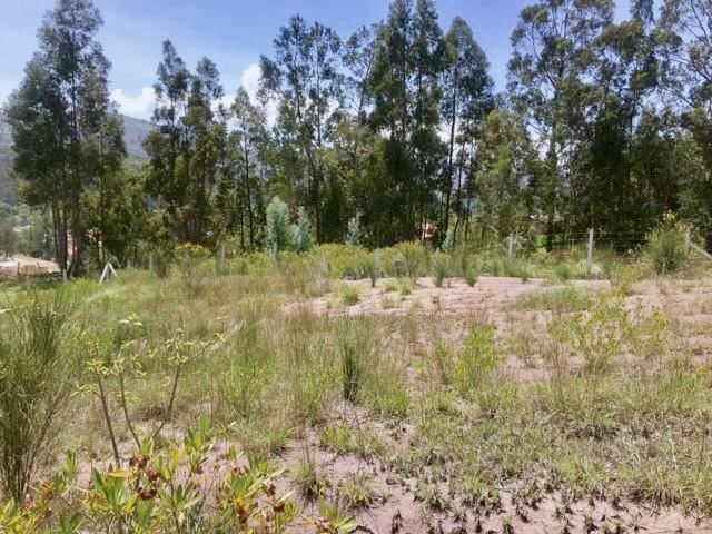 Ideal Para Proyectos Inmobiliarios, Sitio en Venta 4.150 m² Sector Chuquipata (Unae) Vía Azogues — imagen 3