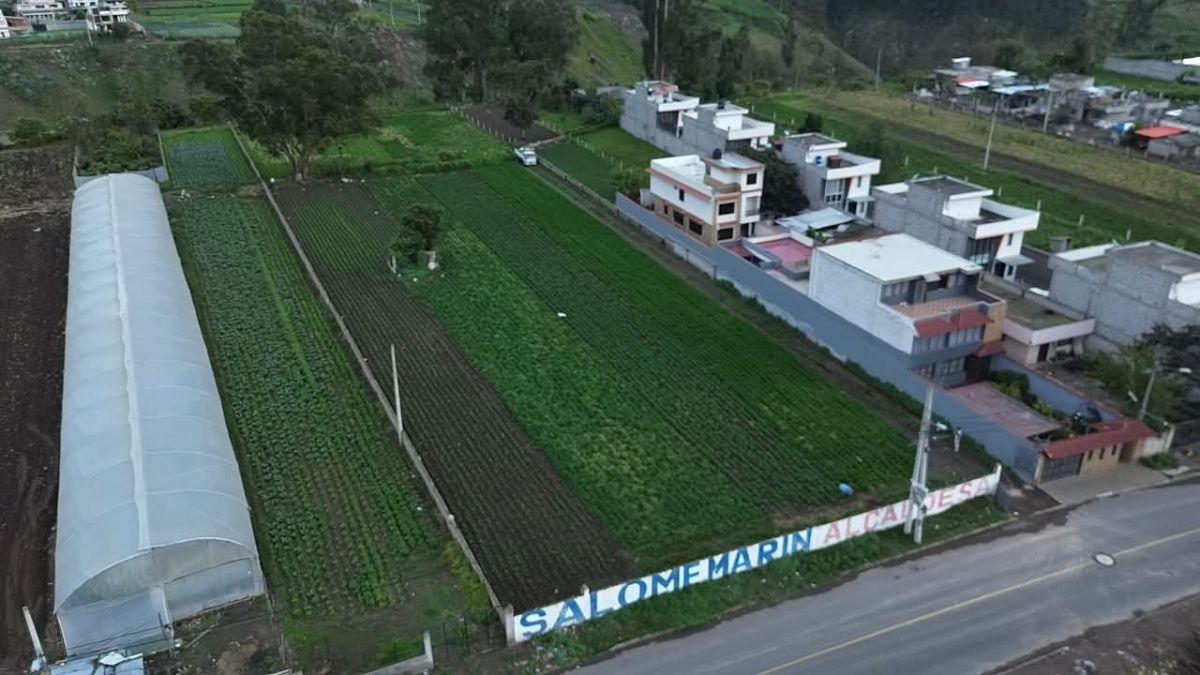 Terreno en Venta en Izamba, Ambato | 5.164 m² | Ideal Para Proyecto Habitacional. Tungurahua — imagen 4