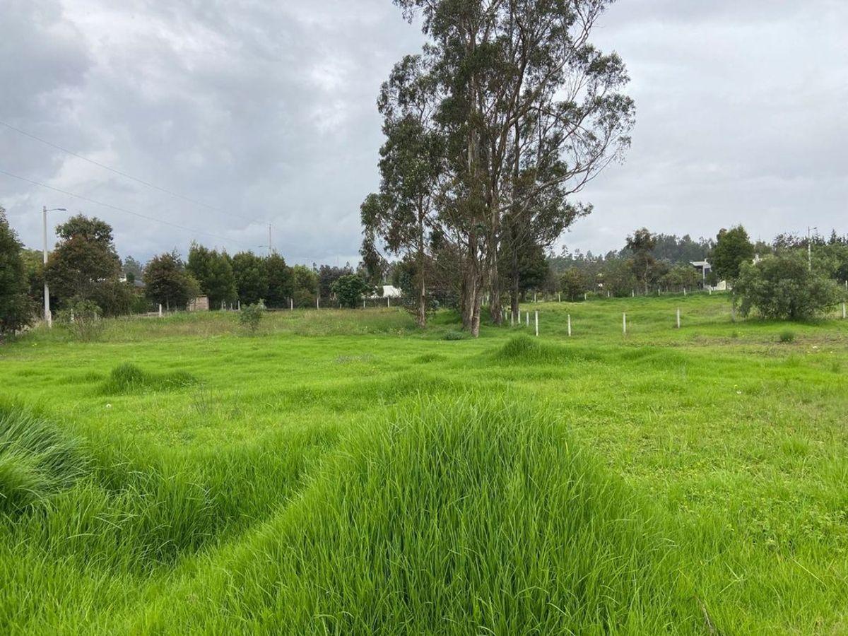 Vendo Terreno Enurbanización La Toscana, Tabacundo — imagen 6