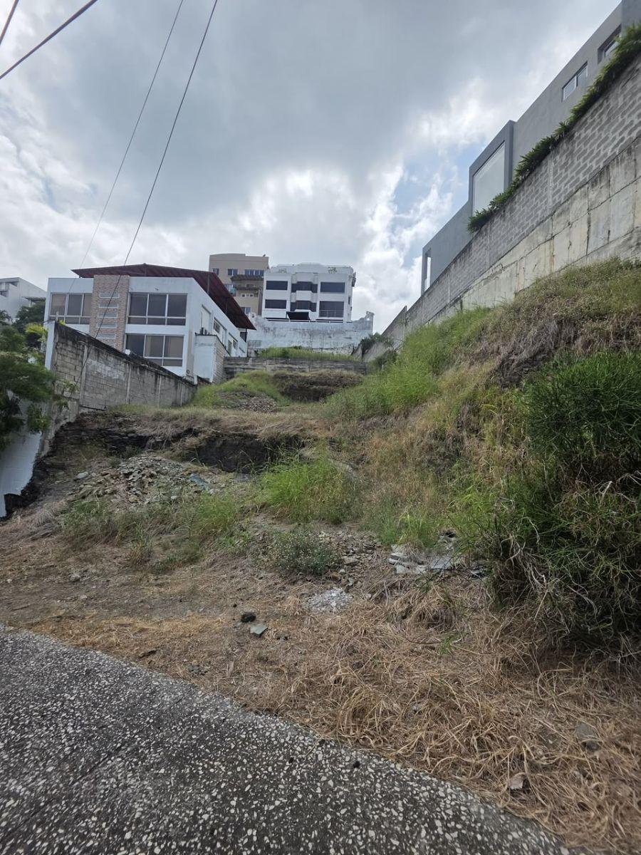 Terreno en Venta en Cumbres - Ceibos, Guayas — imagen 3