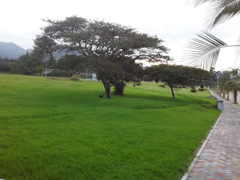 Terreno de 1100 m Dentro de Urb, La Cerámica Tumbaco — imagen 8