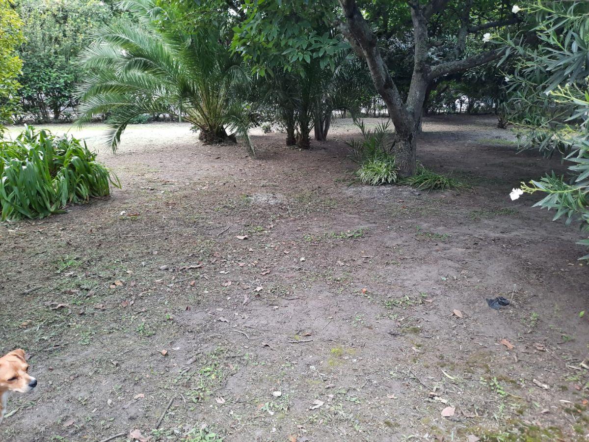 Venta Terreno Plano de 6154 Mm², con Casa, Puembo, Barrio Las Palmas — imagen 7