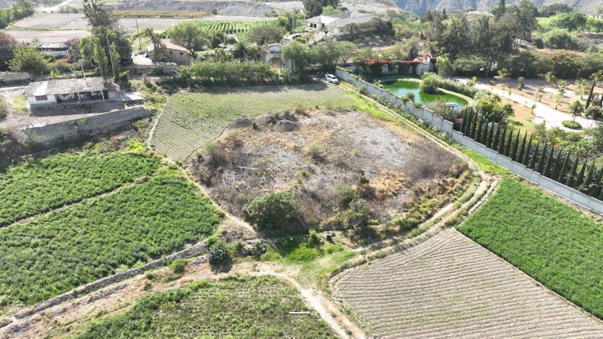 Terrenos en Venta Imbaya - Imbabura, Imbabura — imagen 3