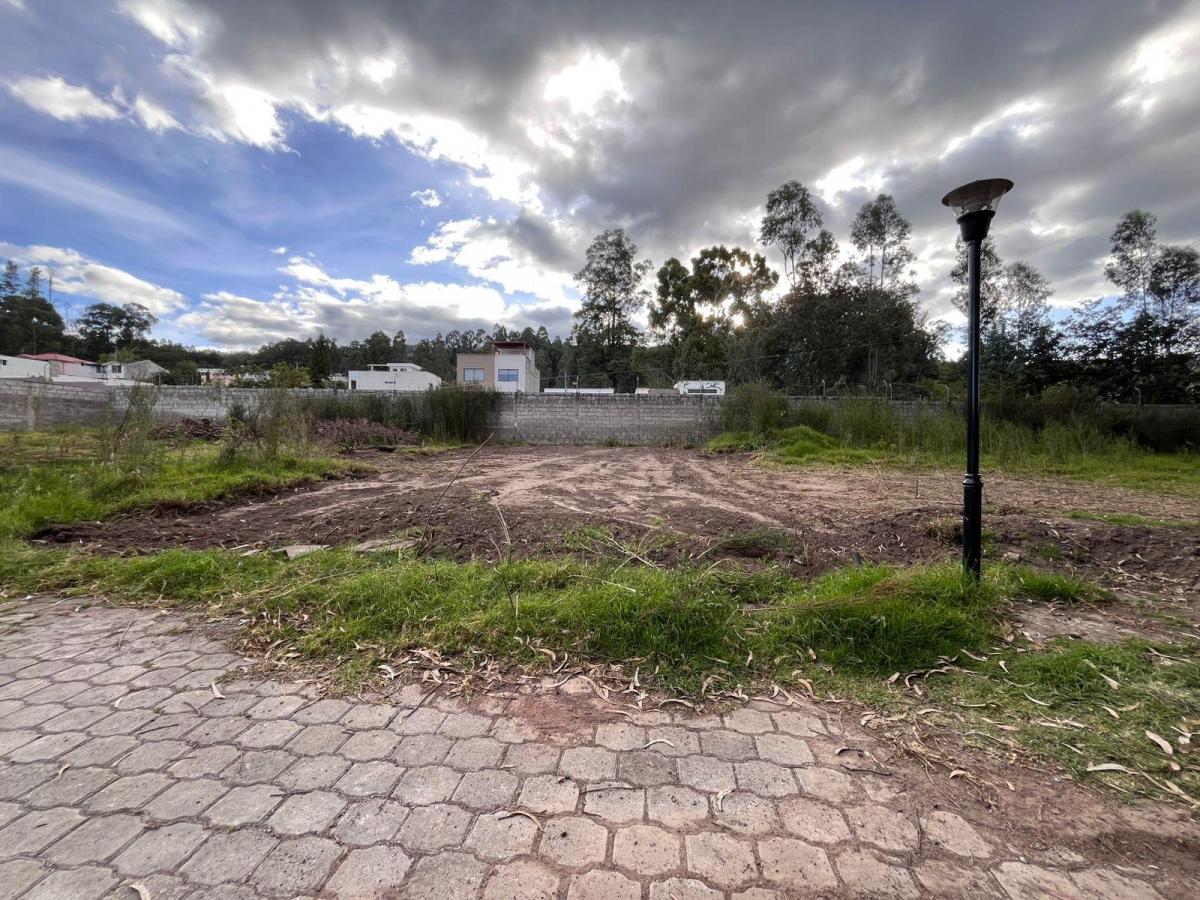 Terreno Para Construcción o Inversión — imagen 4