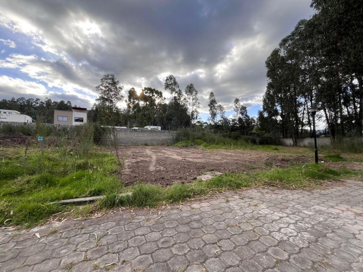 Terreno Para Construcción o Inversión — imagen 3