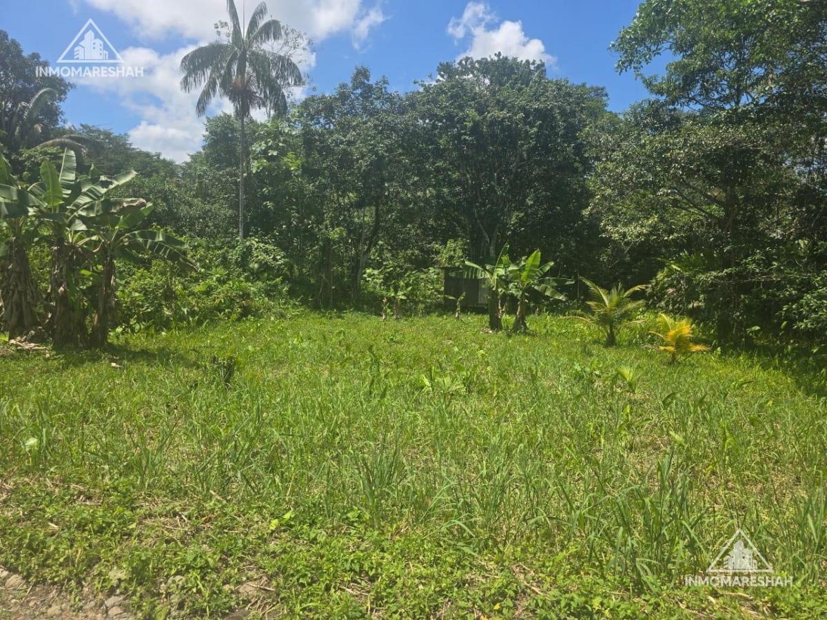 Terreno de 1.000 m² en Venta en El Norte de Lago Agrio — imagen 5