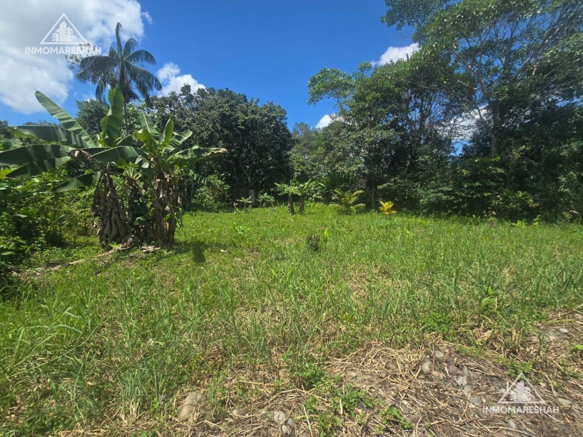 Terreno de 1.000 m² en Venta en El Norte de Lago Agrio — imagen 3