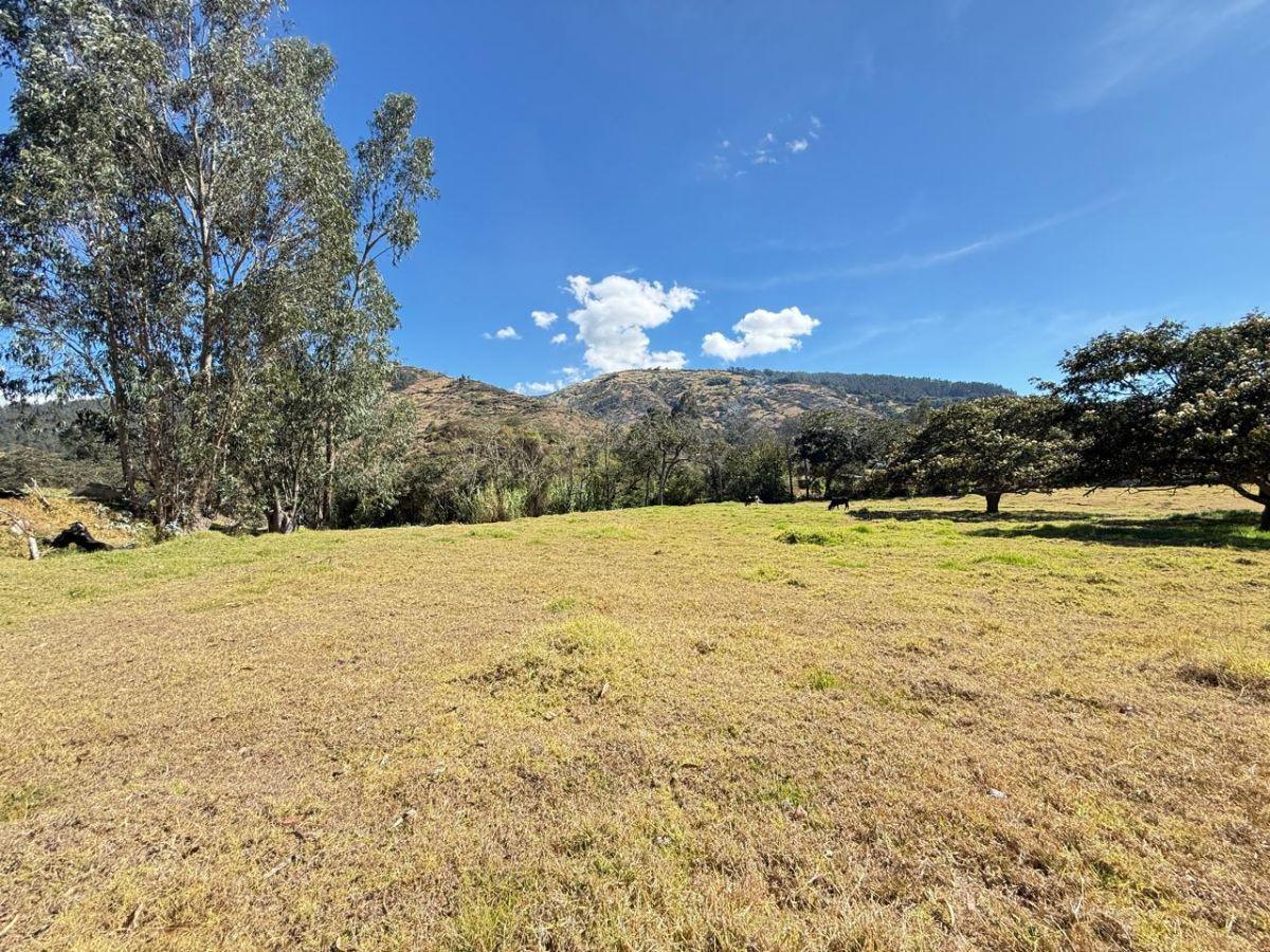 ¡Gran Oportunidad de Inversión en La Merced! Terreno de 10000 m² — imagen 9