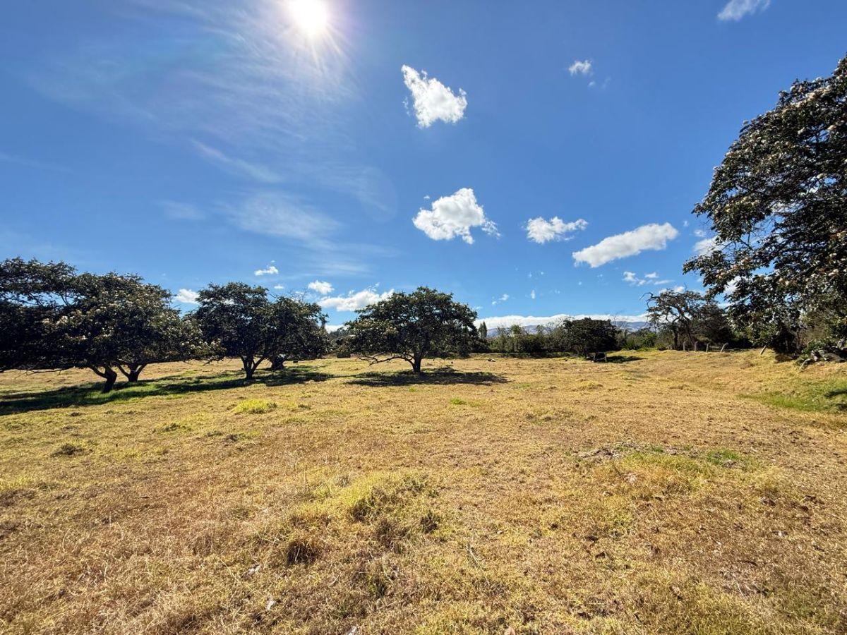 ¡Gran Oportunidad de Inversión en La Merced! Terreno de 10000 m² — imagen 8