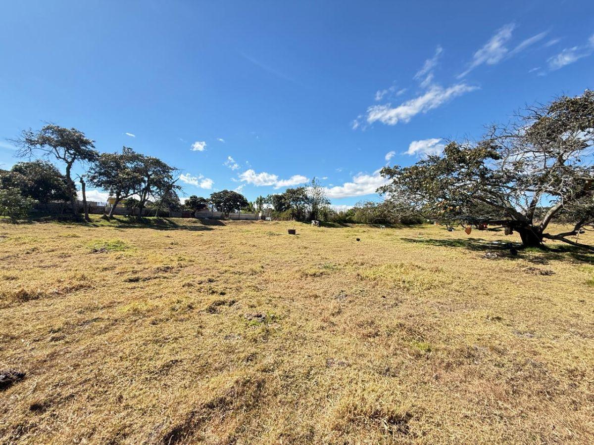 ¡Gran Oportunidad de Inversión en La Merced! Terreno de 10000 m² — imagen 7