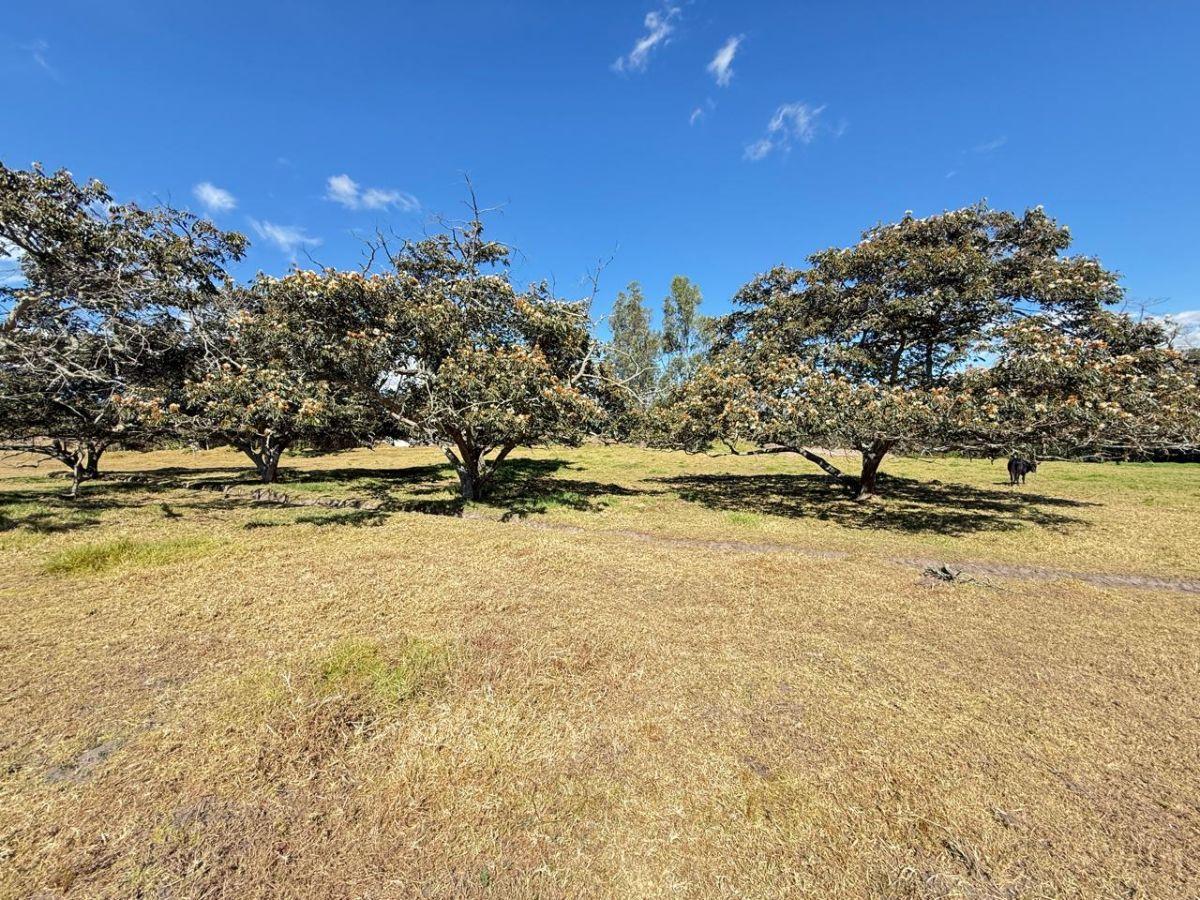 ¡Gran Oportunidad de Inversión en La Merced! Terreno de 10000 m² — imagen 6