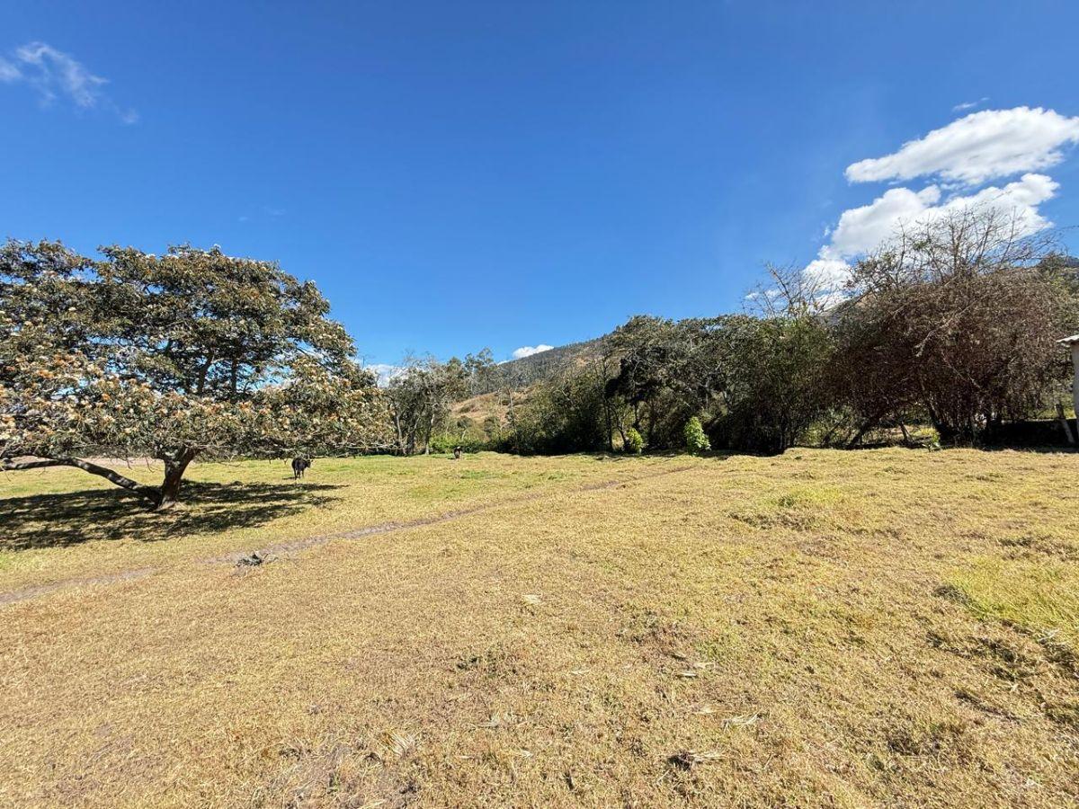 ¡Gran Oportunidad de Inversión en La Merced! Terreno de 10000 m² — imagen 5