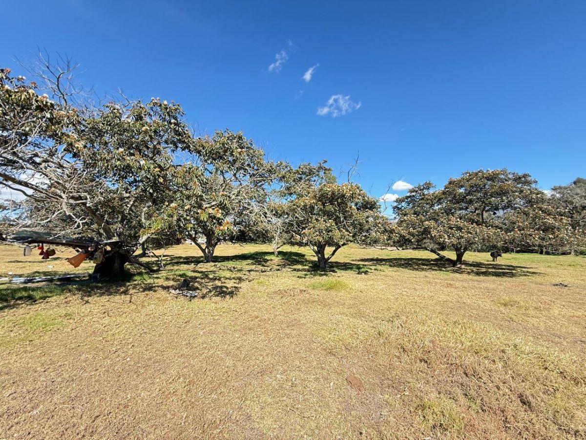 ¡Gran Oportunidad de Inversión en La Merced! Terreno de 10000 m² — imagen 4