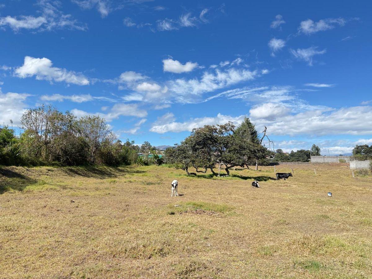 ¡Gran Oportunidad de Inversión en La Merced! Terreno de 10000 m² — imagen 3