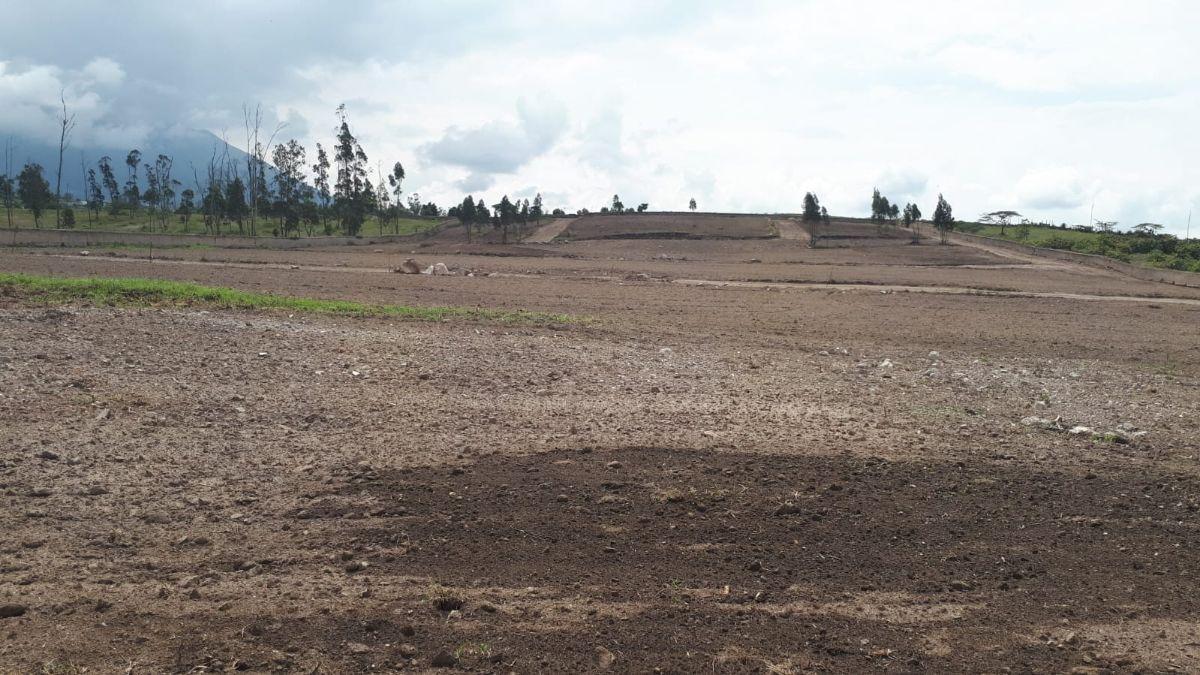 Terrenos en Venta en San Antonio de Ibarra Sector Bellavista, Imbabura — imagen 9