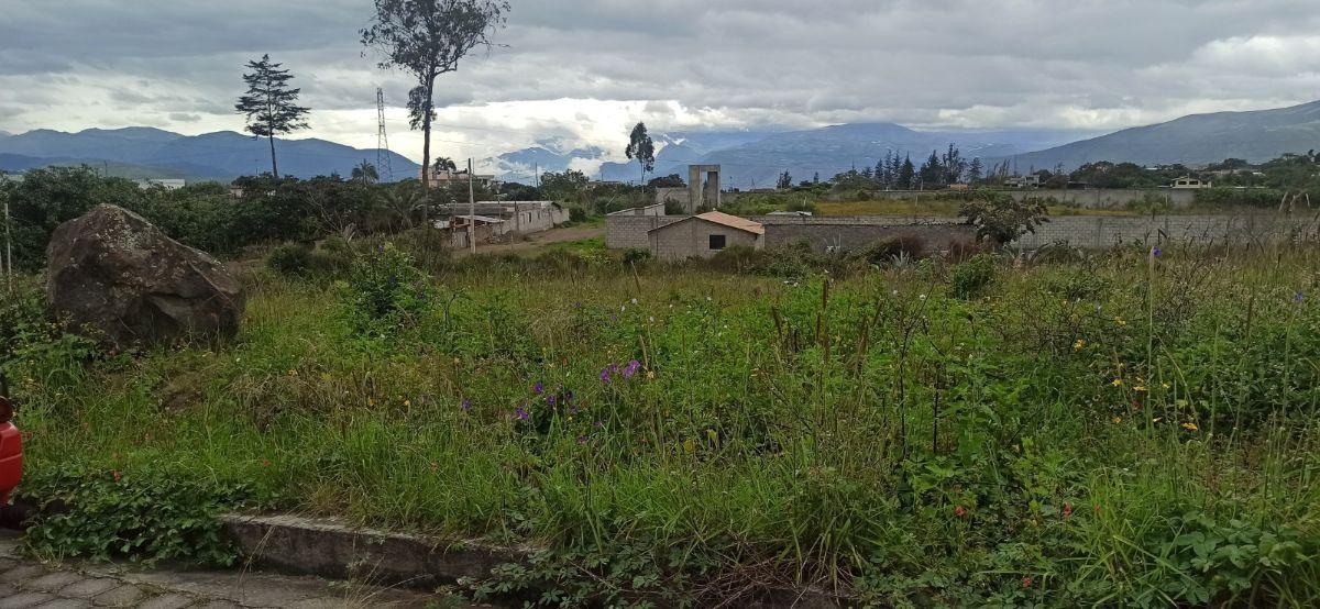 Terrenos en Venta en San Antonio de Ibarra Sector Bellavista, Imbabura — imagen 7