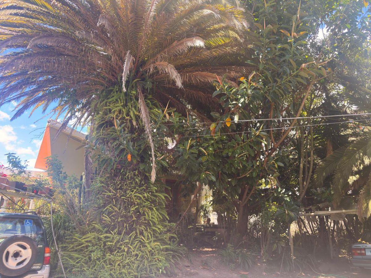 Terreno de 1246 m² en Venta en Cumbayá con Áreas Verdes — imagen 7