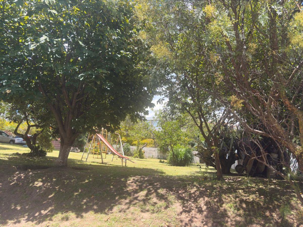 Terreno de 1246 m² en Venta en Cumbayá con Áreas Verdes — imagen 6