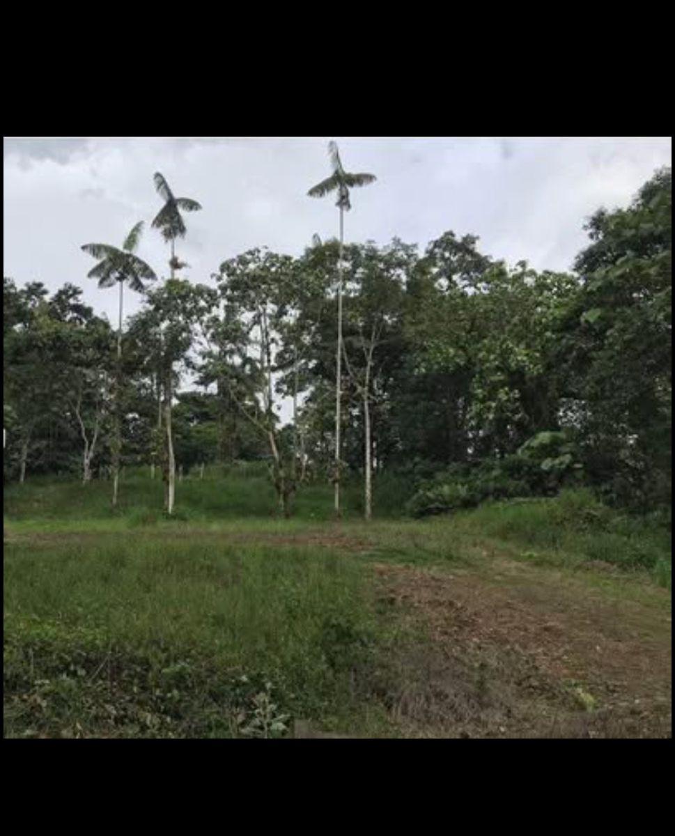 Terreno de 1143 m² en Venta en Pedro Vicente Maldonado — imagen 7