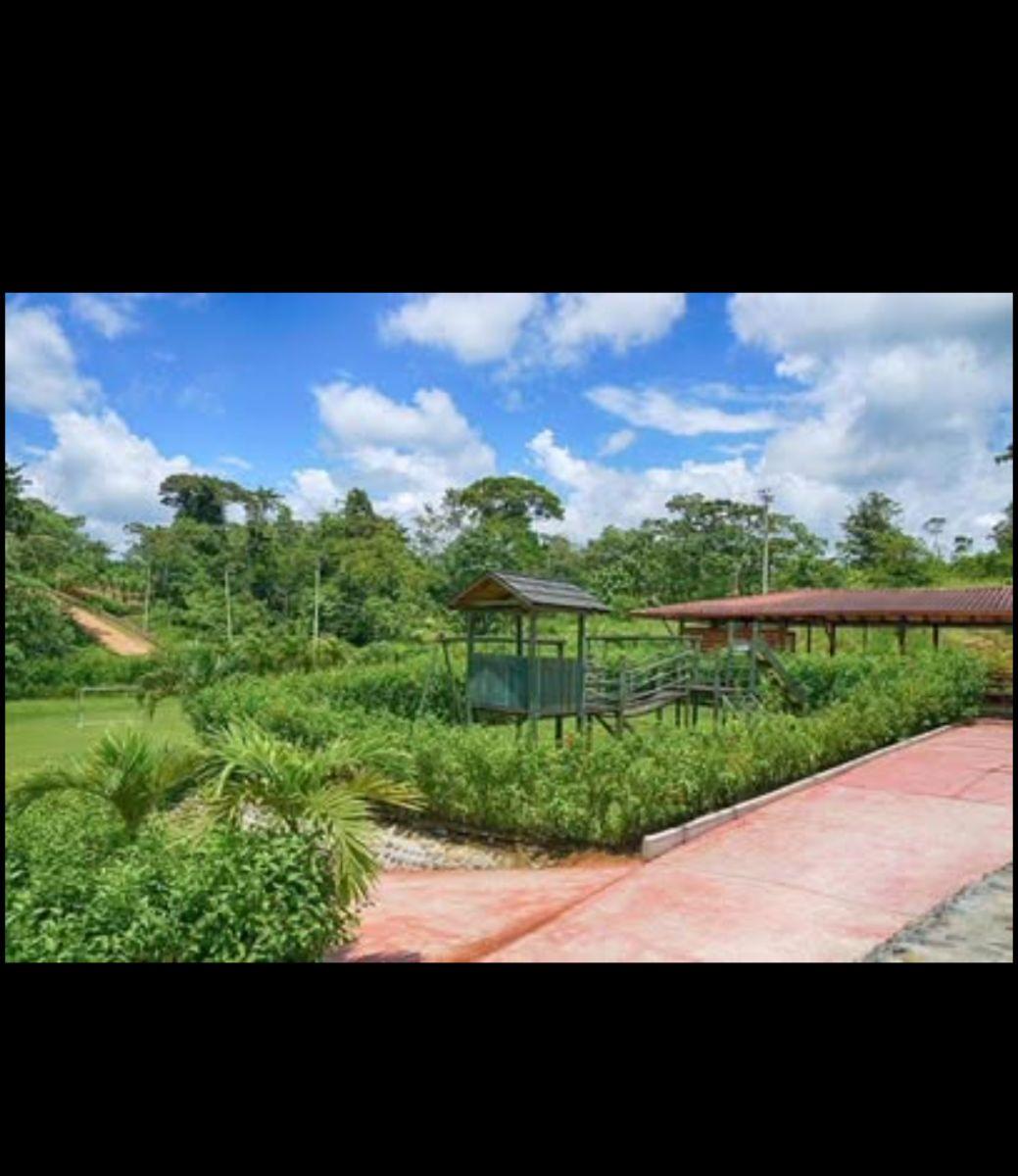 Terreno de 1143 m² en Venta en Pedro Vicente Maldonado — imagen 5