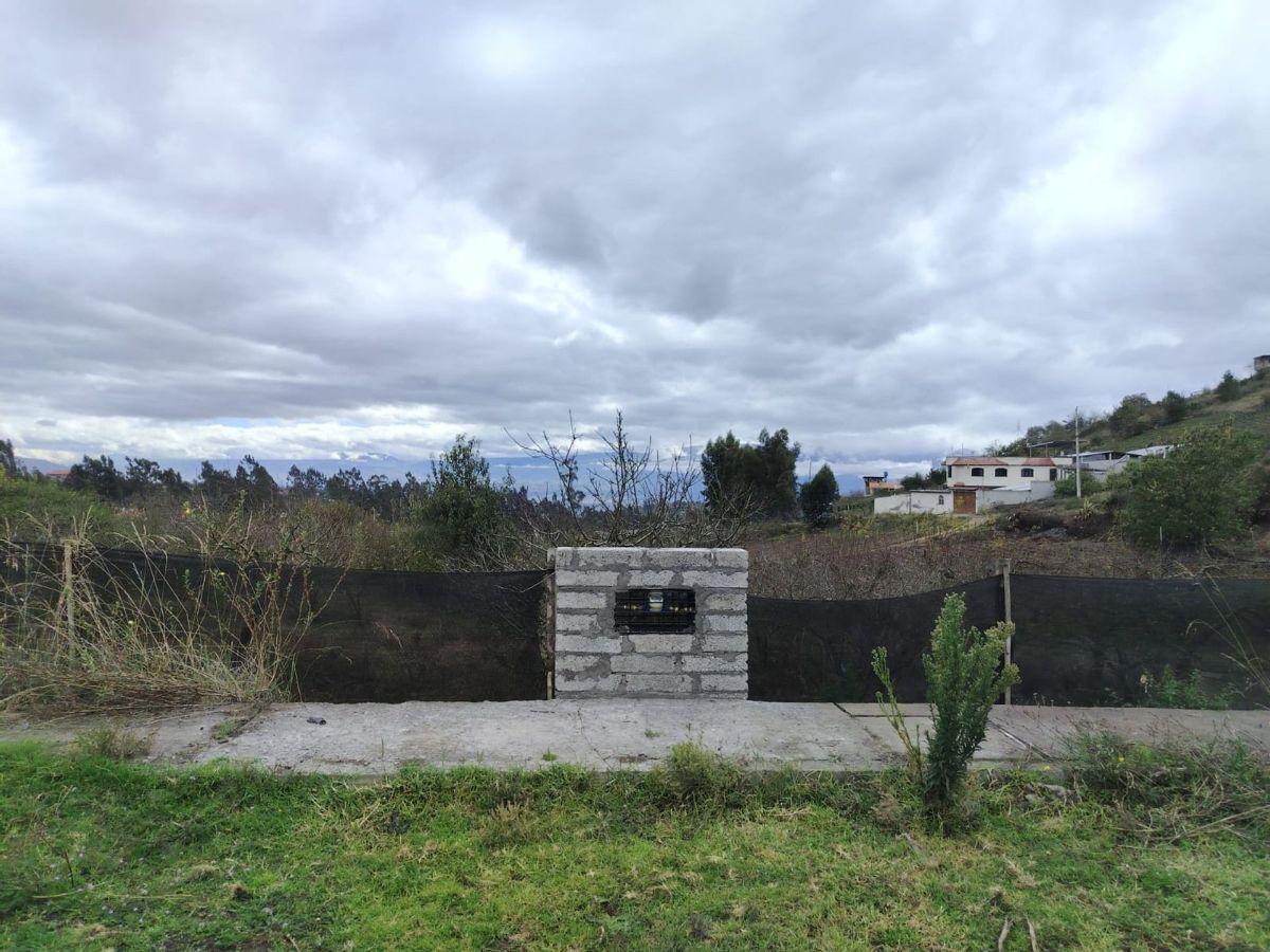 Terreno de Venta en Tisaleo, Tungurahua — imagen 4