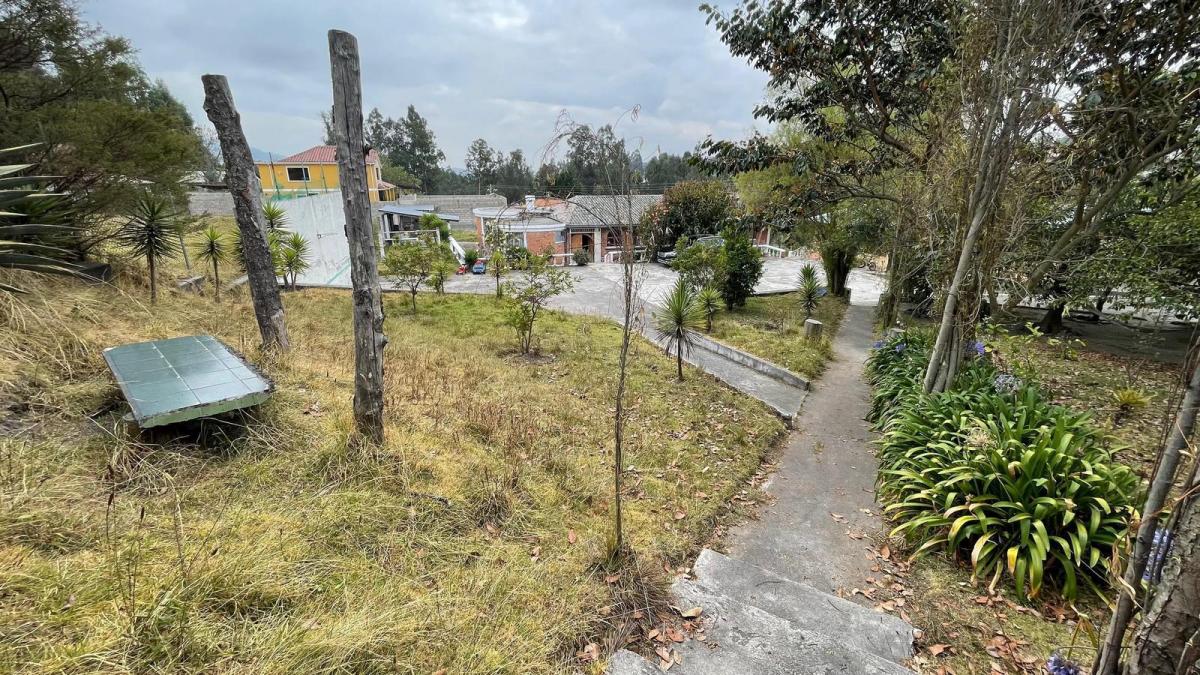 Terreno en La Merced — imagen 6