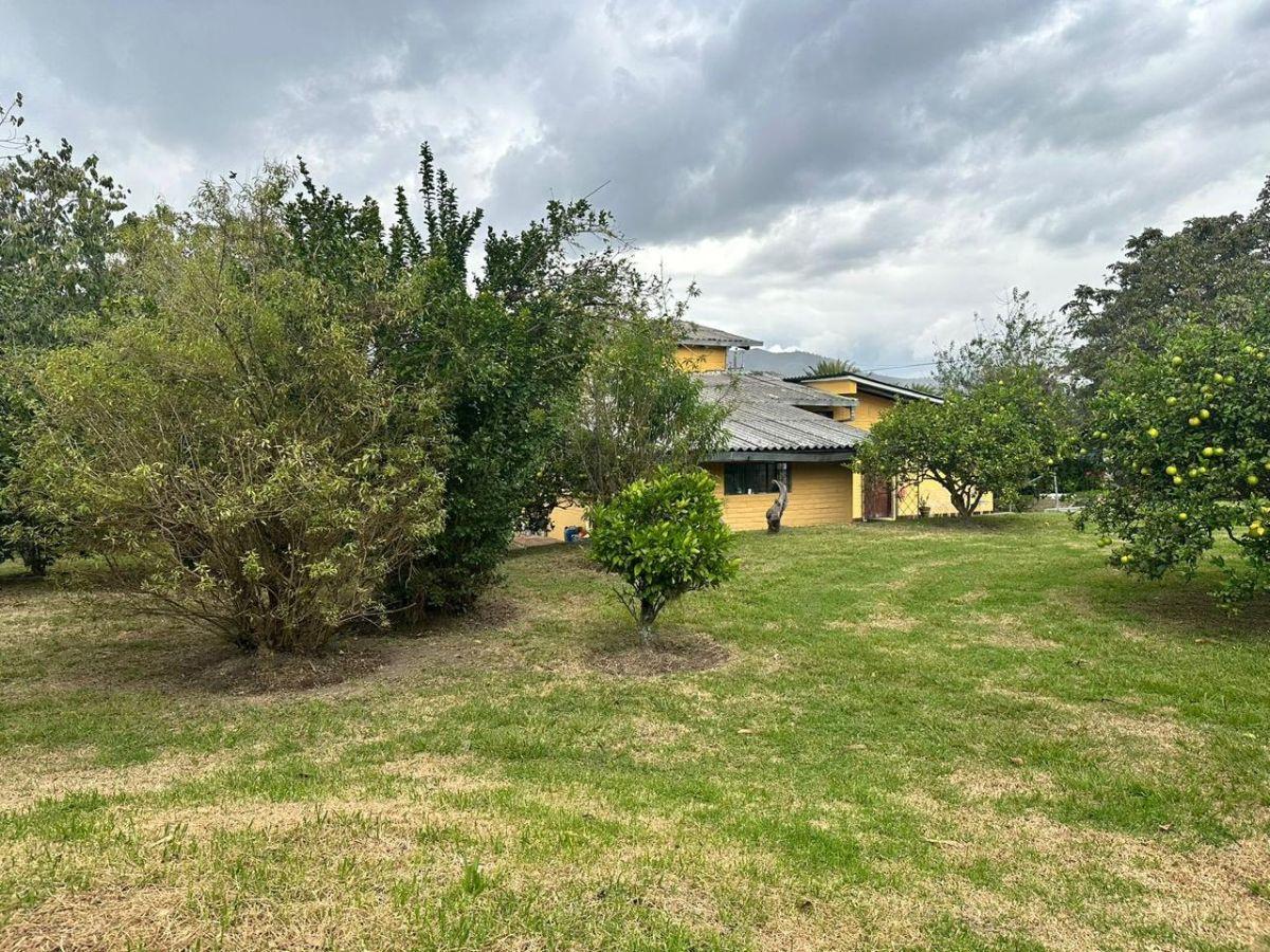 Terreno en Venta | San José – La Viña Alta — imagen 6
