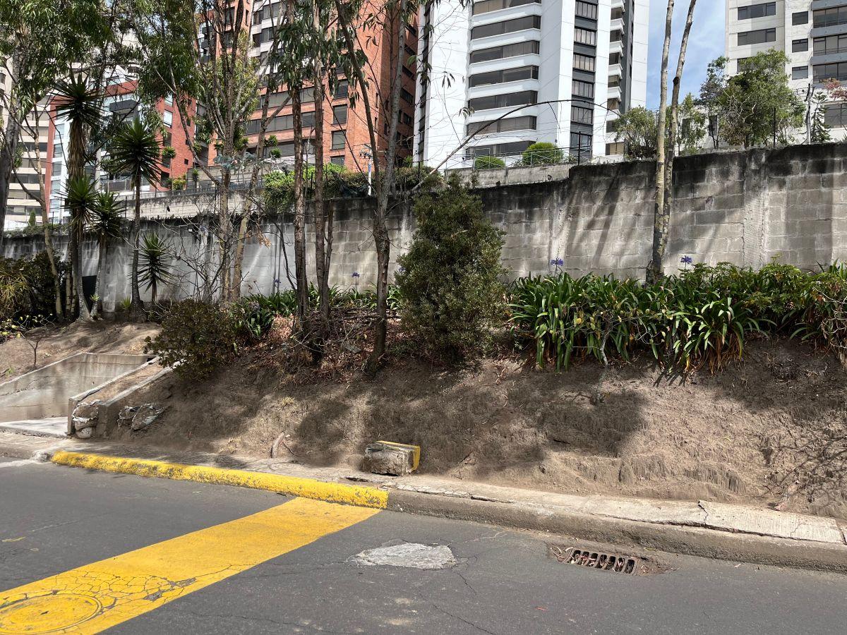 Quito Tenis Terreno de Venta Oportunidad Apto Para Constructores — imagen 6