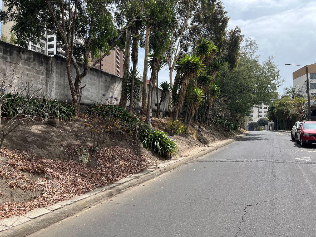 Quito Tenis Terreno de Venta Oportunidad Apto Para Constructores — imagen 5