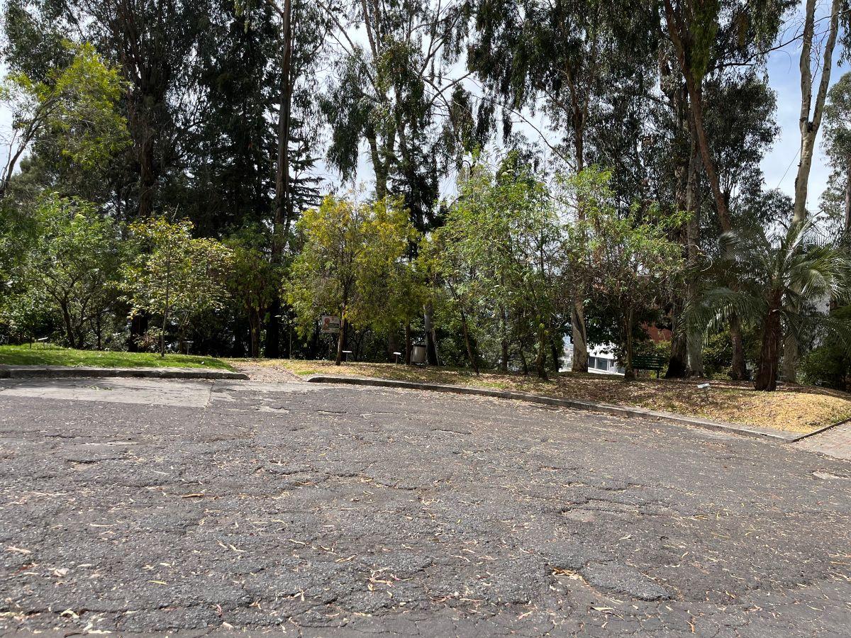 Quito Tenis Terreno de Venta Oportunidad Apto Para Constructores — imagen 4