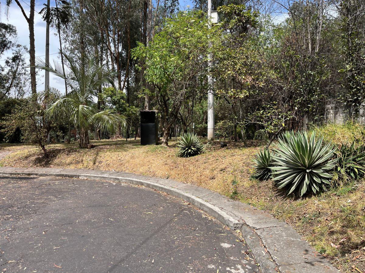 Quito Tenis Terreno de Venta Oportunidad Apto Para Constructores — imagen 3