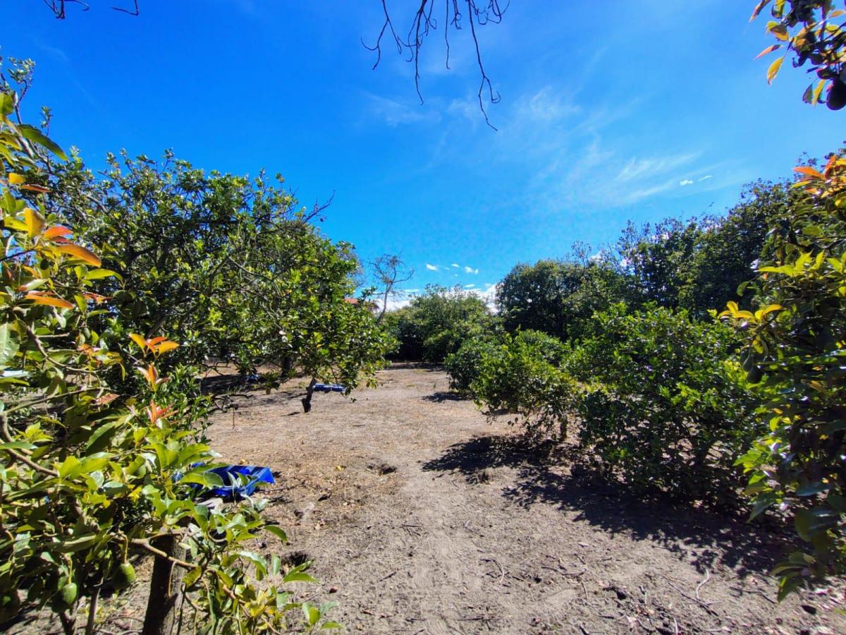 Terreno en Bello Horizonte 1, Guayllabamba — imagen 5
