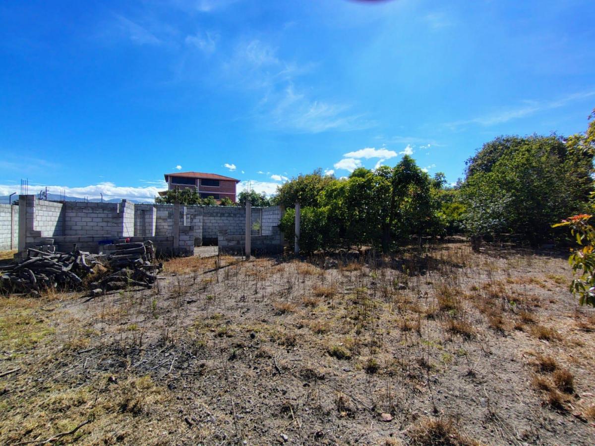 Terreno en Bello Horizonte 1, Guayllabamba — imagen 3