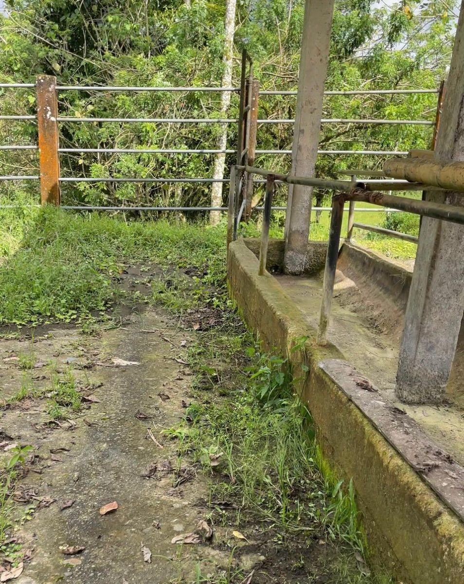 Finca en Venta 75.20 Has con Casa — imagen 5