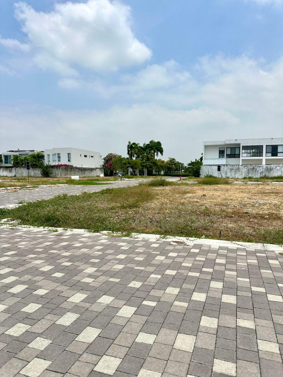 En Venta Terreno Esquinero en Lisola Village, Isla Mocoli - Urbanizacion Lisola, Guayas — imagen 6