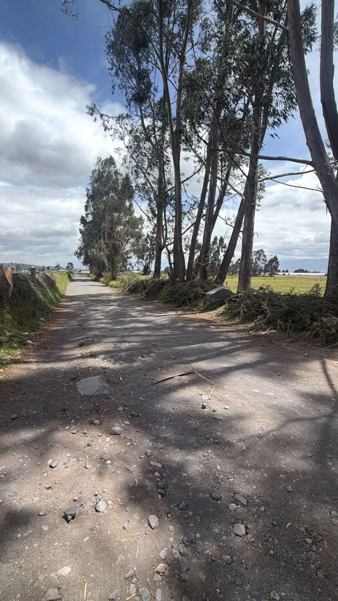 6 Hectáreas en Venta Sector Latacunga, Cotopaxi, Cotopaxi — imagen 8