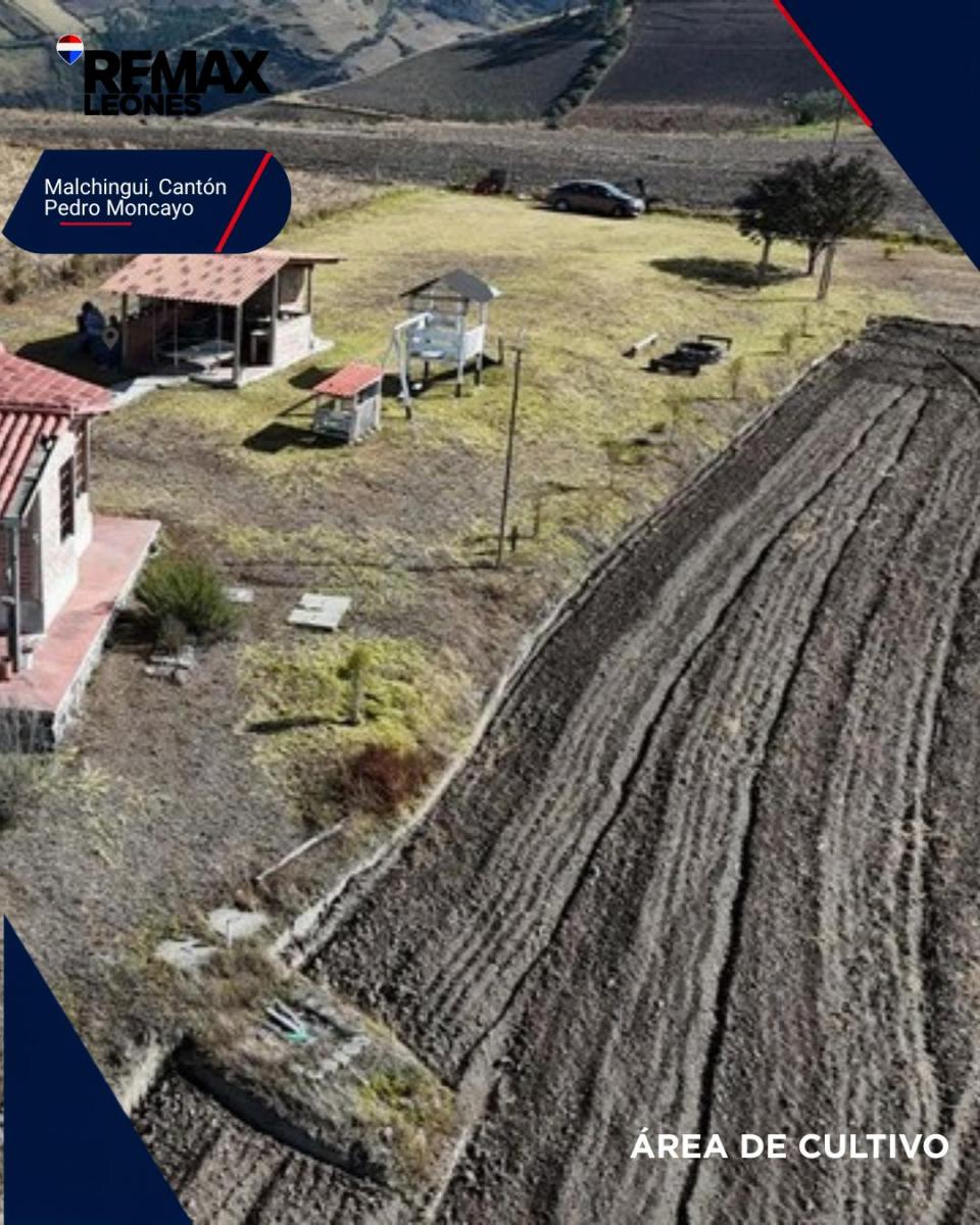 Terreno con Área de Cultivo Más Hermosa Cabaña Familiar — imagen 8