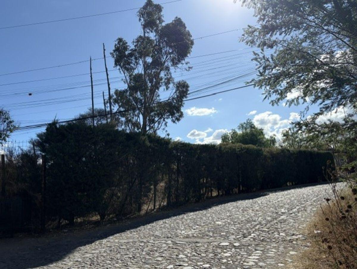 Ideal Para Constructores Terreno Esquinero Viña Alta — imagen 10
