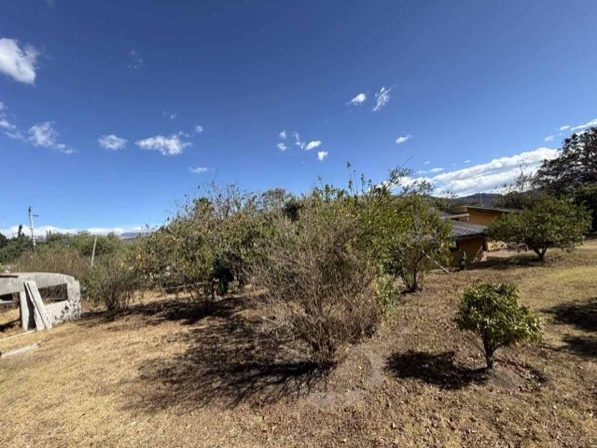 Ideal Para Constructores Terreno Esquinero Viña Alta — imagen 9