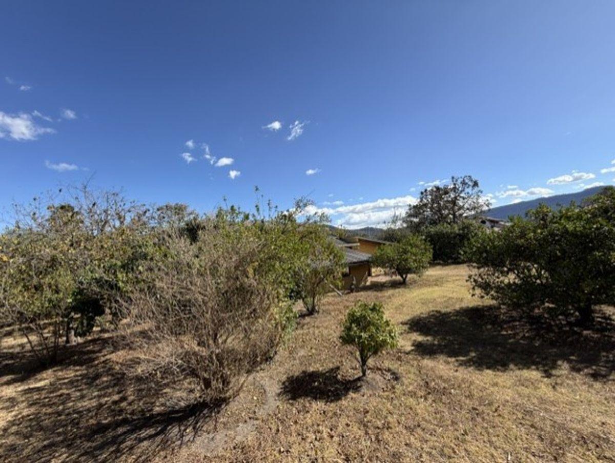 Ideal Para Constructores Terreno Esquinero Viña Alta — imagen 6