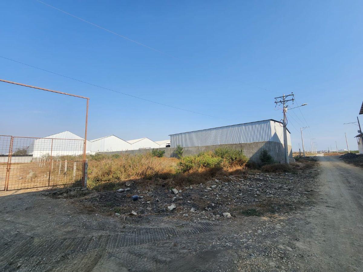 Terreno en Venta, Lotizacion Fincas Delia, Durán, Guayas — imagen 3