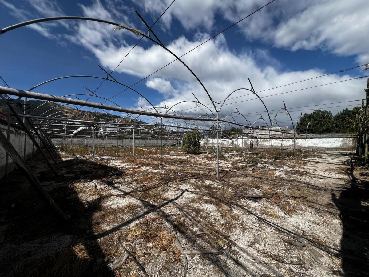 Terreno Esquinero en San Carlos de Alangasí — imagen 5