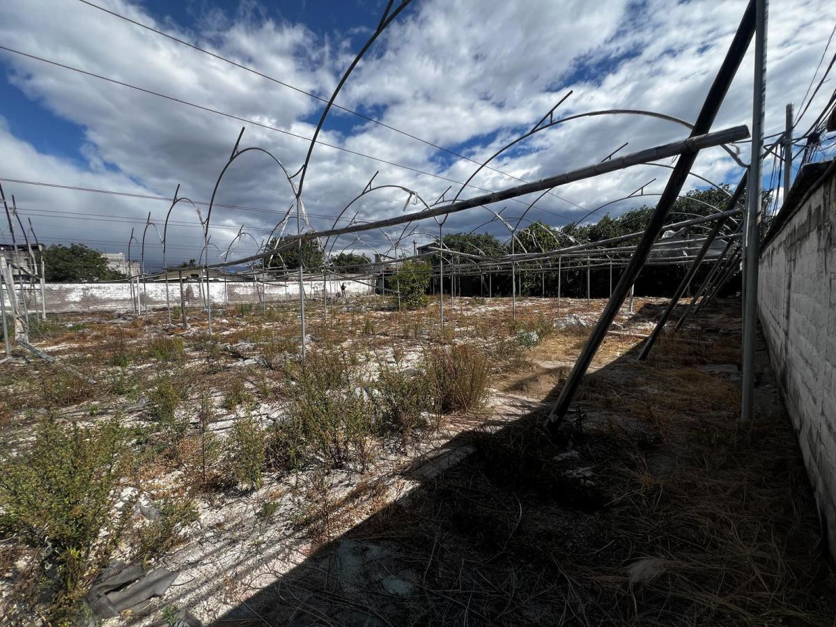 Terreno Esquinero en San Carlos de Alangasí — imagen 3