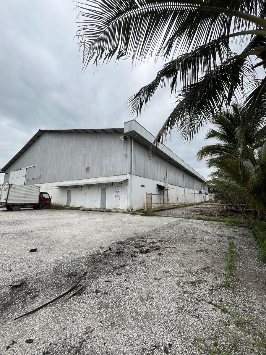 Terreno Km 24 Vía a La Costa Chongon Rellenado y Compactado, Guayas — imagen 10